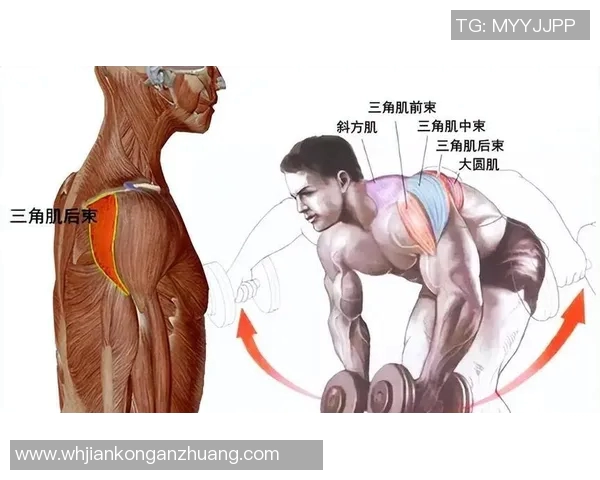 哑铃提拉训练全解析提升肌肉力量与塑形效果的最佳方法
